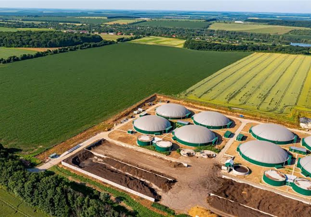 Biogas Industry