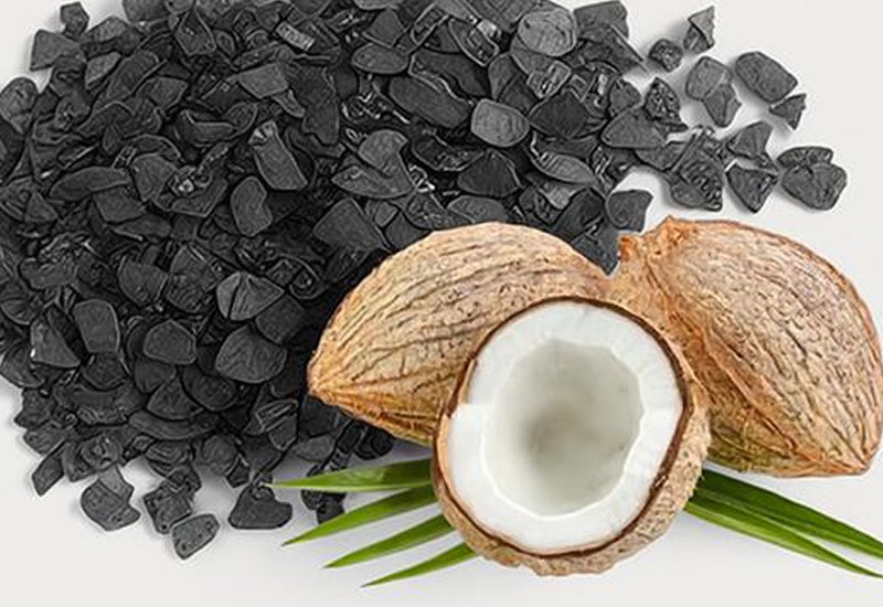Coconut Shell Activated Carbon