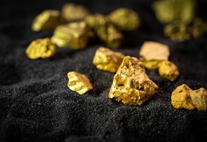 Gold Recovery Carbon